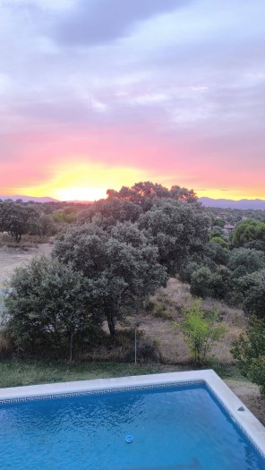 Vistas